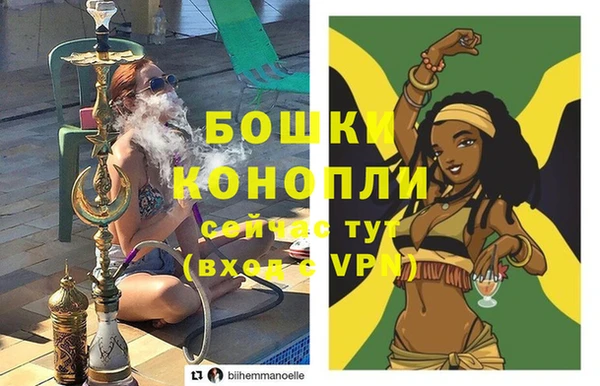 гашик Майский
