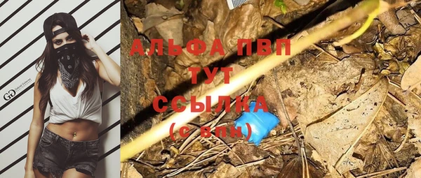 эйфоретик Магас