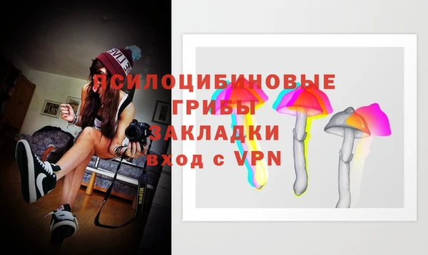 прущие крисы Магадан