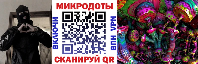 как найти закладки  Питкяранта  Галлюциногенные грибы Cubensis 
